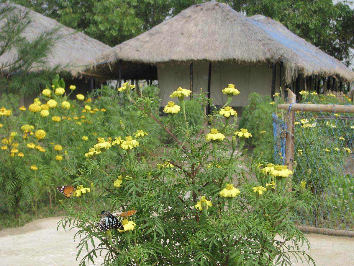 Estuarine Village Resort Satabhaya Exterior photo